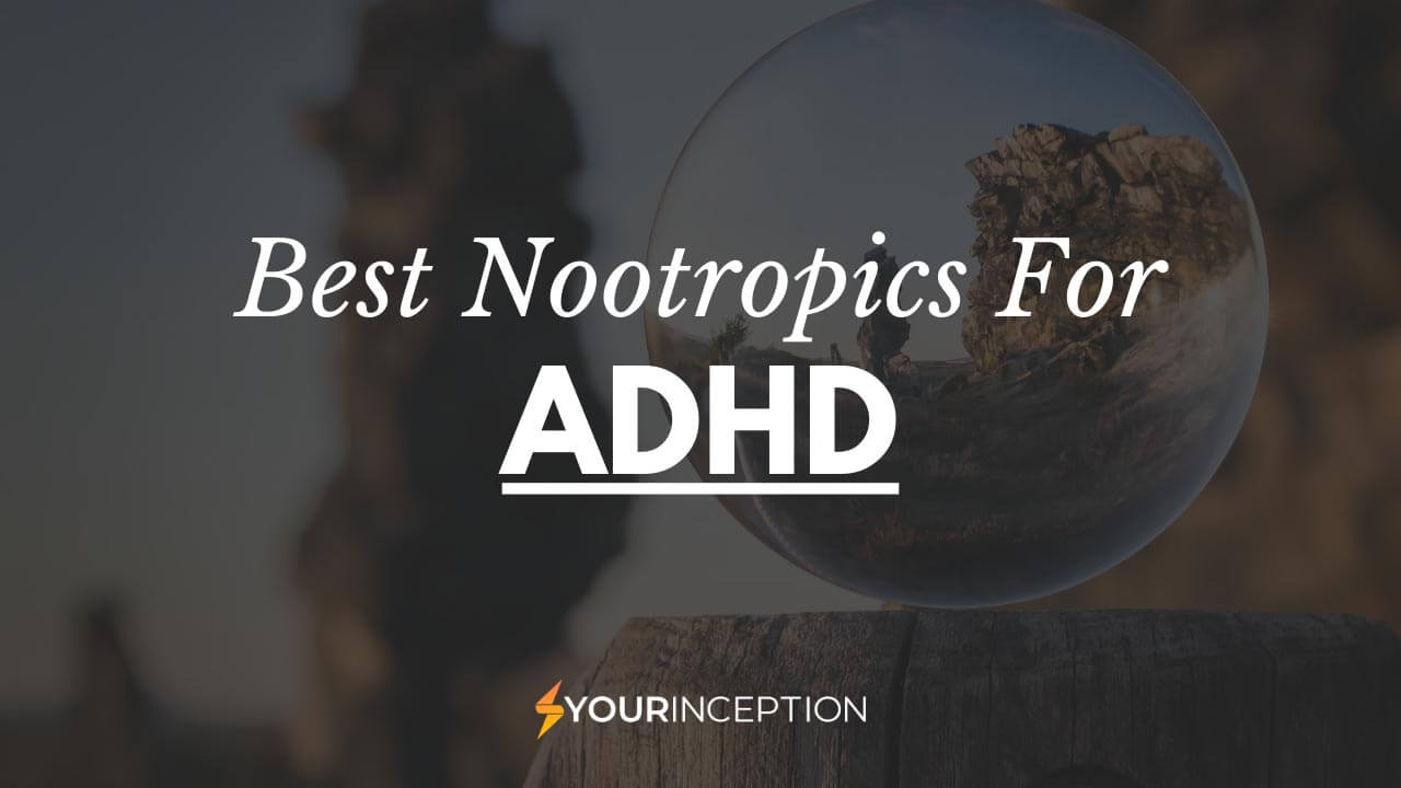 Best Nootropics for ADHD and ADD Our Top List